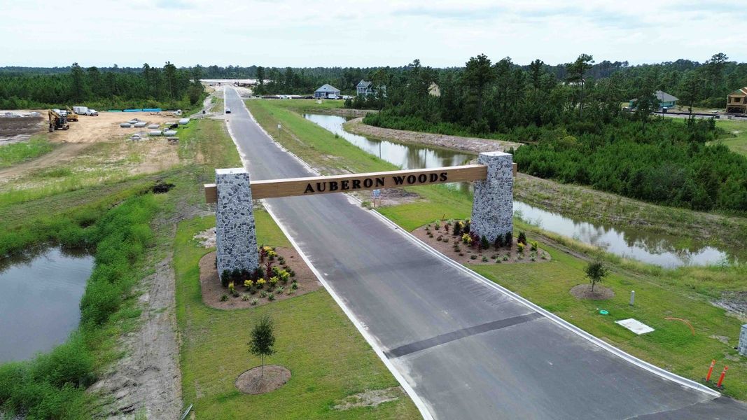 Image 4 of a home in Auberon Woods.