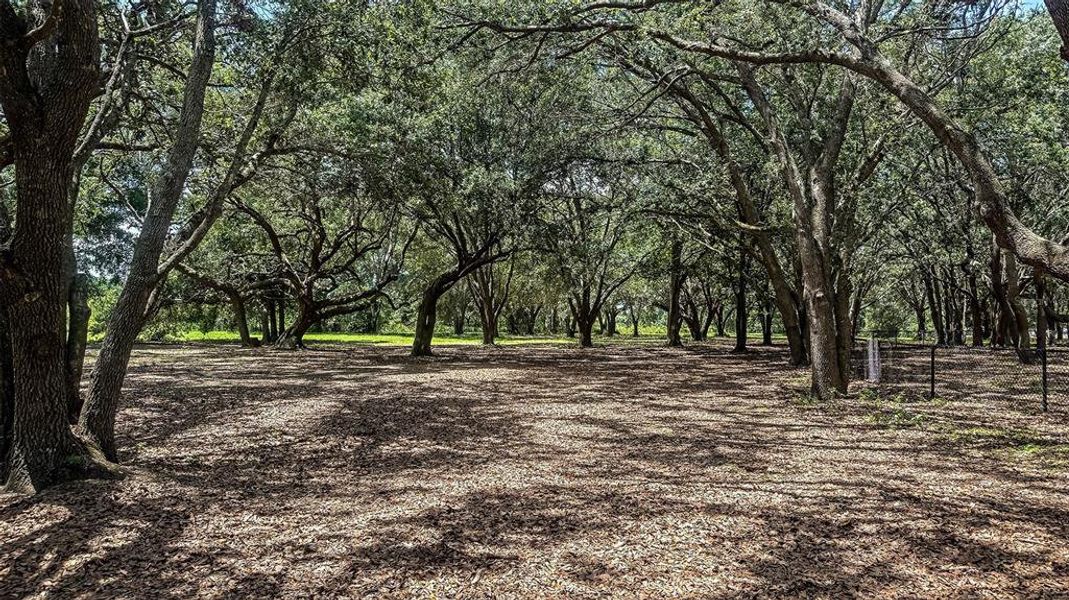 Natural landscape and outdoor views near Waterstone in Groveland (Image 23).