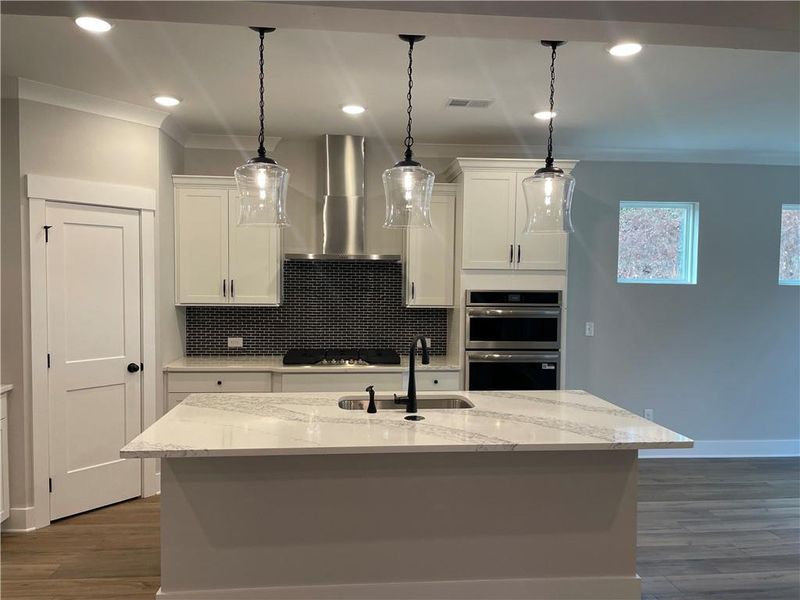 Furnished interior view inside a new home in Marble Tree, Ball Ground (Image 3).
