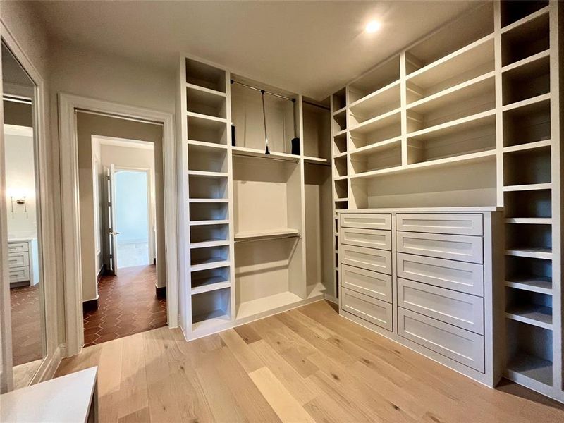 Spacious closet with light wood-type flooring