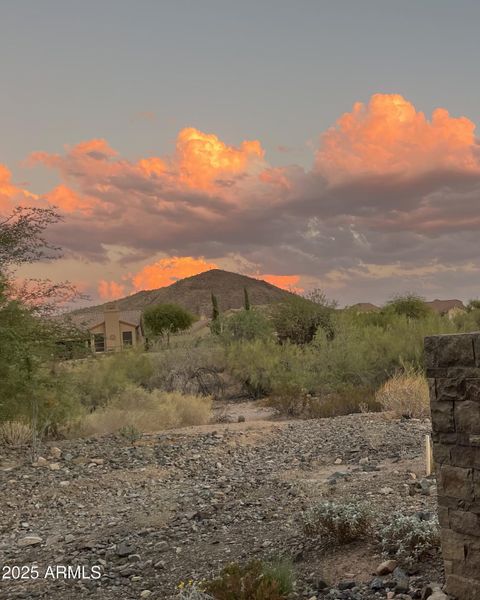 11673 N 136th Street 1018 Sunset photo 2 11673 N 136th Street 1018 Sunset photo 2