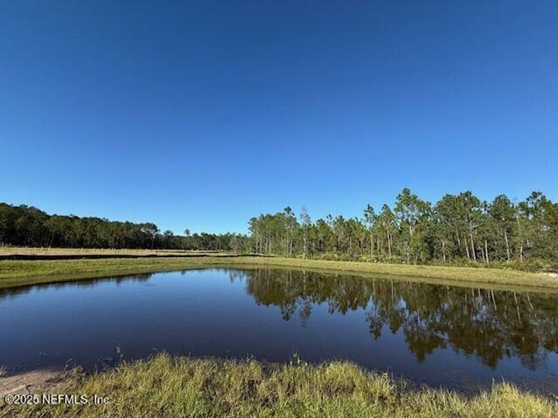 Natural landscape and outdoor views near Grand Reserve in Bunnell (Image 46).