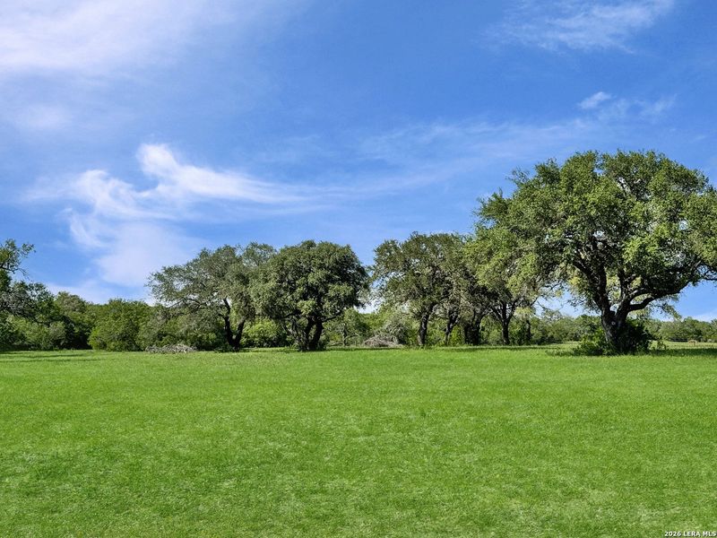 Natural landscape and outdoor views near  in Beeville (Image 21).