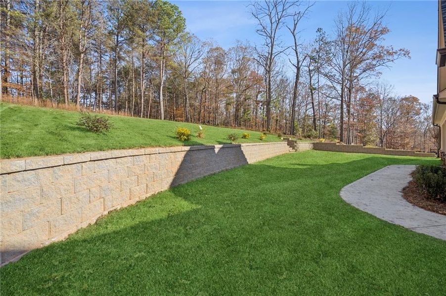 Natural landscape and outdoor views near  in Gainesville (Image 57).