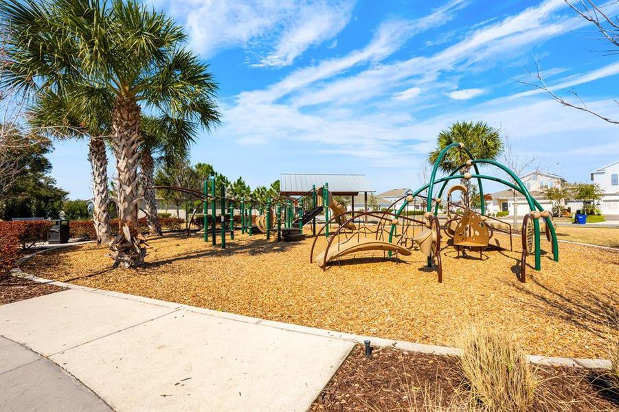 Community amenities in Tohoqua, Kissimmee (Image 23).