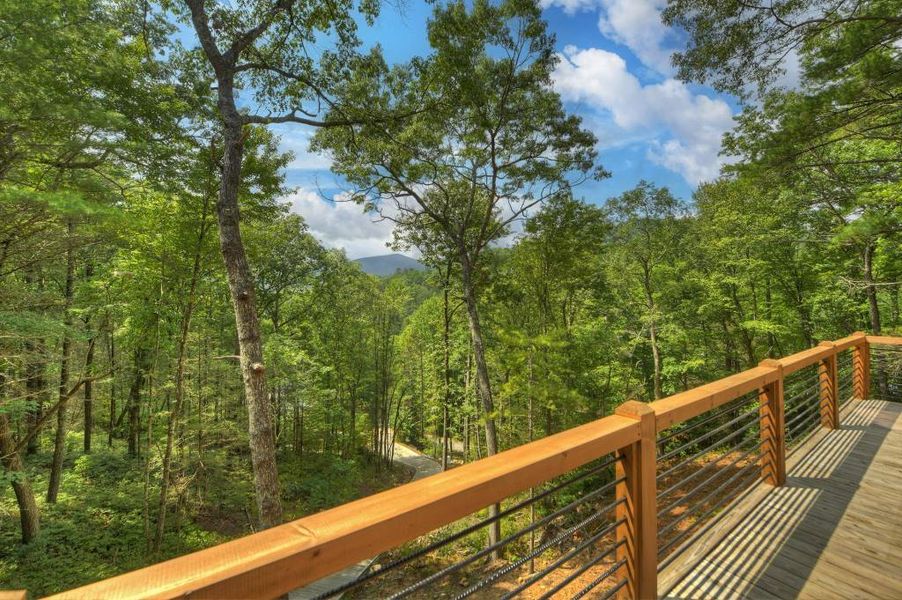Natural landscape and outdoor views near in Cherry Log (Image 62). Natural landscape and outdoor views near in Cherry Log (Image 62).