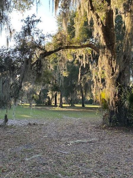 Natural landscape and outdoor views near  in Pomona Park (Image 6).