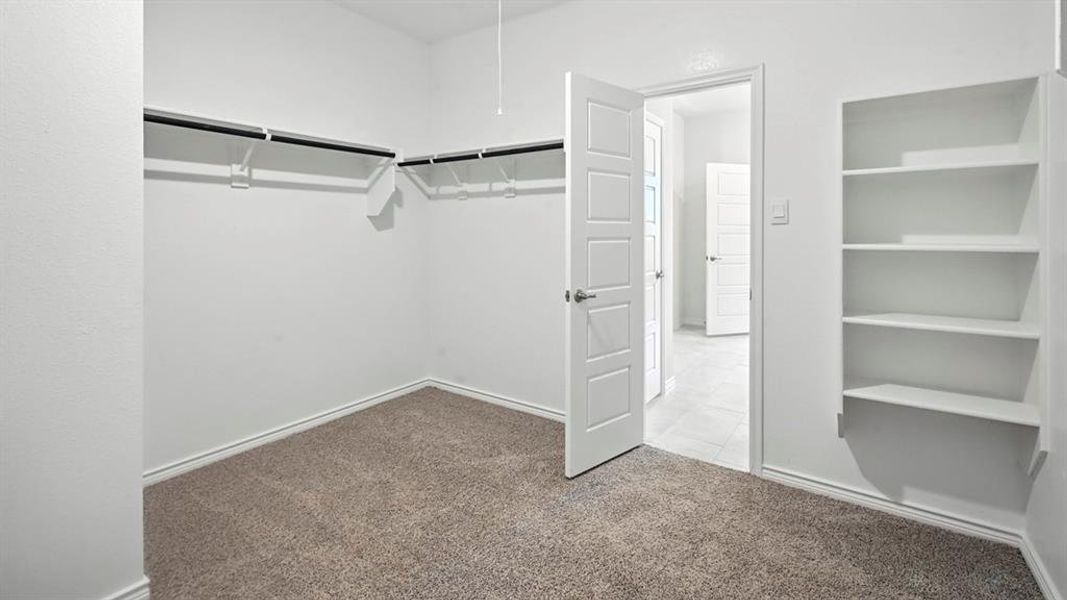 Carpeted room featuring built-in shelving, a closet with hanging rods and shelving, a paneled door, and white baseboards