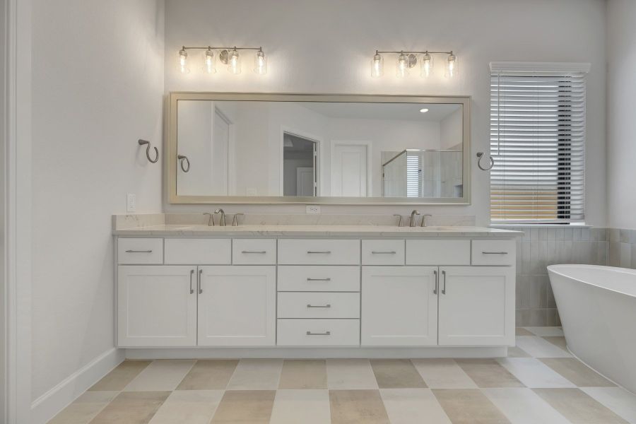 Owner's Bath