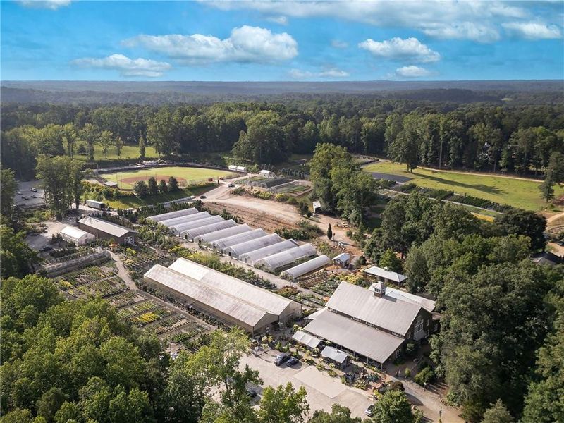 Community amenities in Echo at Crabapple, Milton (Image 21).