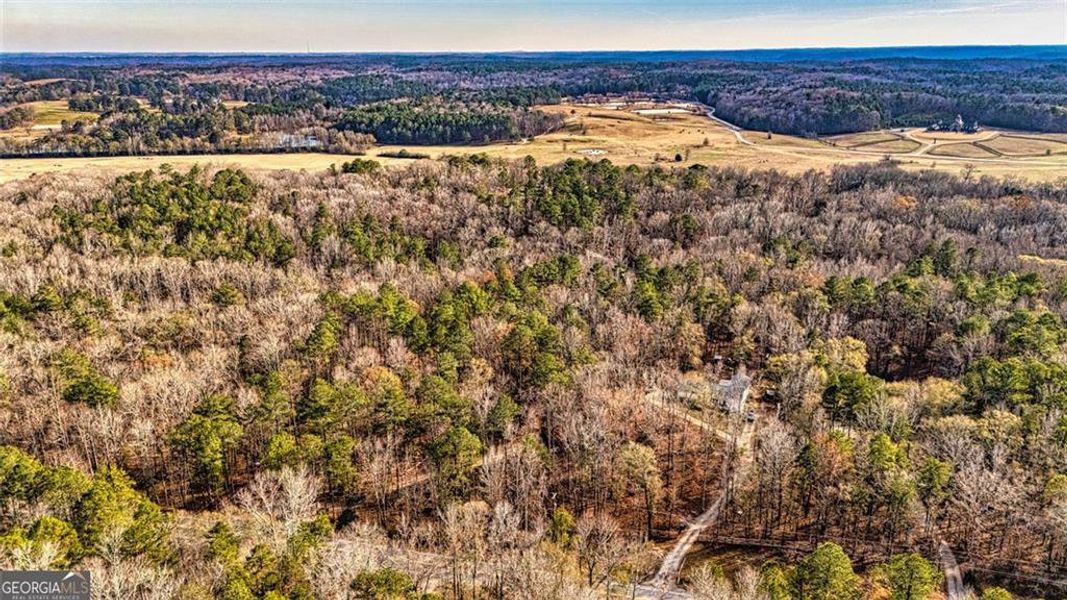 Natural landscape and outdoor views near  in Douglasville (Image 19).