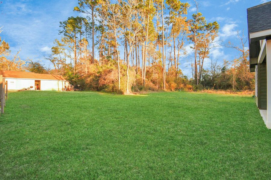 Natural landscape and outdoor views near in Willis (Image 1). Natural landscape and outdoor views near in Willis (Image 1).