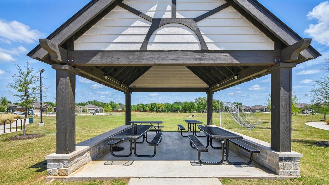 Community amenities associated with the Carson by D.R. Horton in Springhill South, Boyd (Image 7).