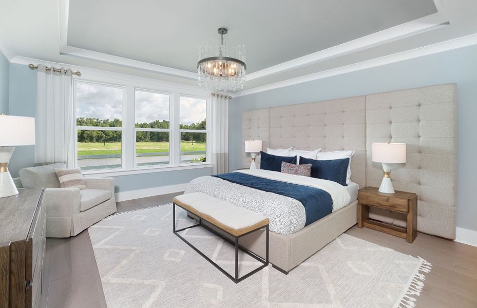 Retreat to the luxurious Owner's Suite with Tray Ceiling detail