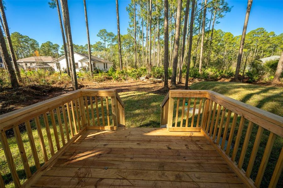 Natural landscape and outdoor views near  in Deland (Image 43).