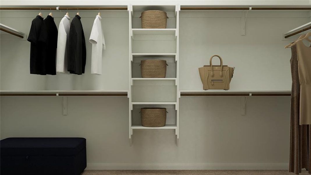 Walk in closet featuring carpet floors Walk in closet featuring carpet floors