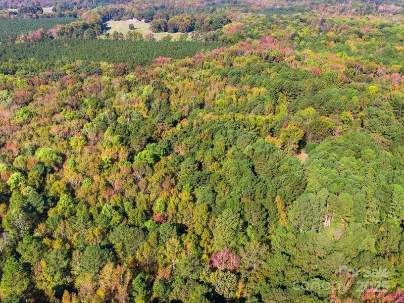 Natural landscape and outdoor views near in Waxhaw (Image 23). Natural landscape and outdoor views near in Waxhaw (Image 23).