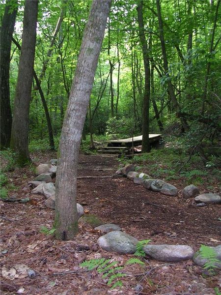 Natural landscape and outdoor views near  in Waleska (Image 34).