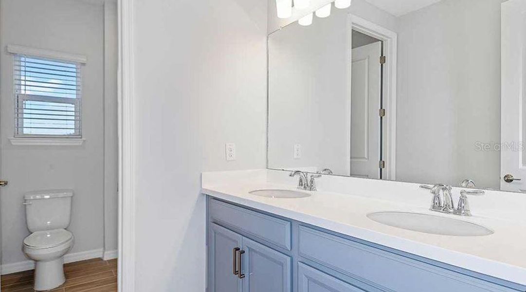 REPRESENTATIVE PHOTOS