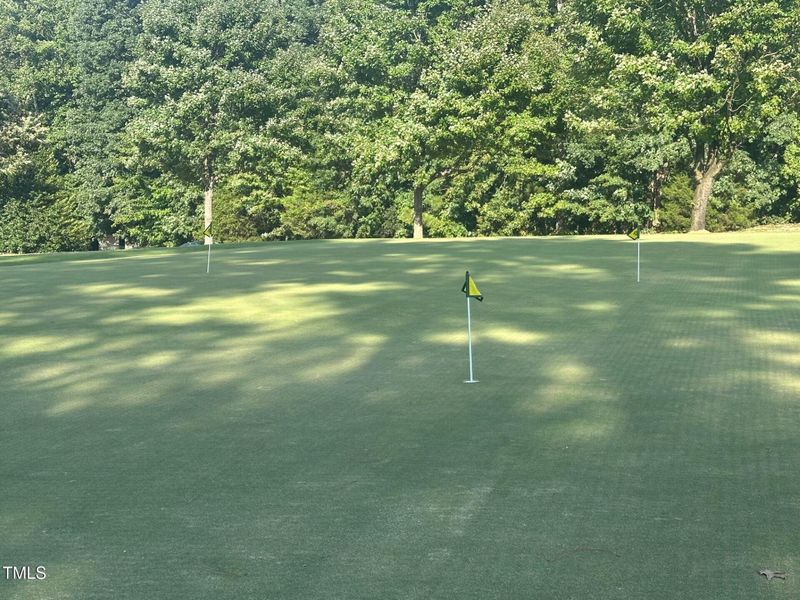 Putting Green 2 Putting Green 2