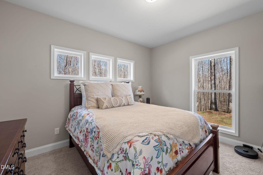 10-web-or-mls-P1111942