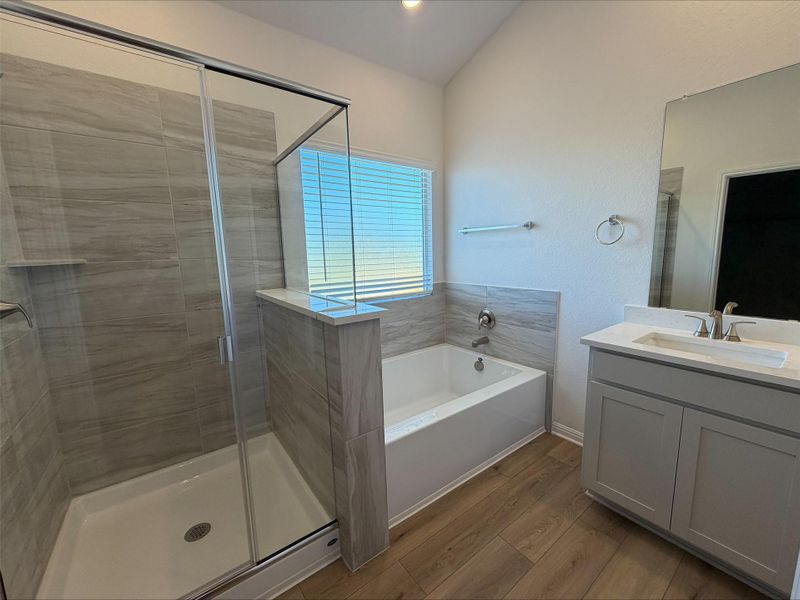 Bathroom featuring dark wood-type flooring, vanity, a shower stall, and a bath