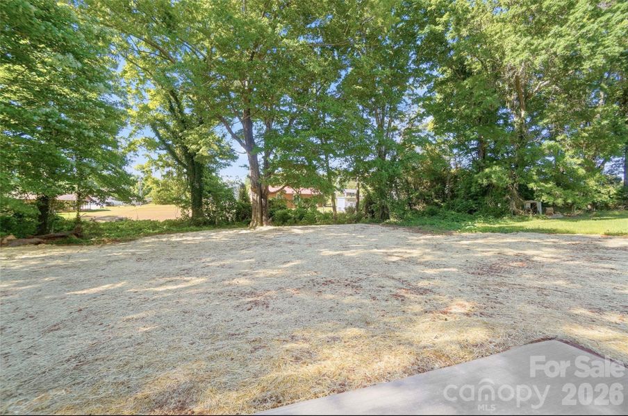 Large Flat Yard