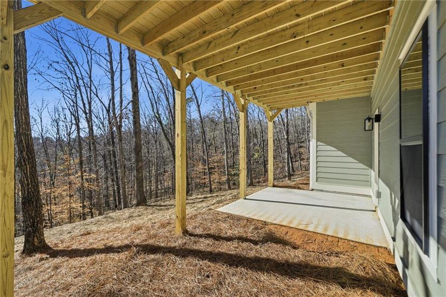 Exterior details and patio area of a home in , Ball Ground (Image 31).