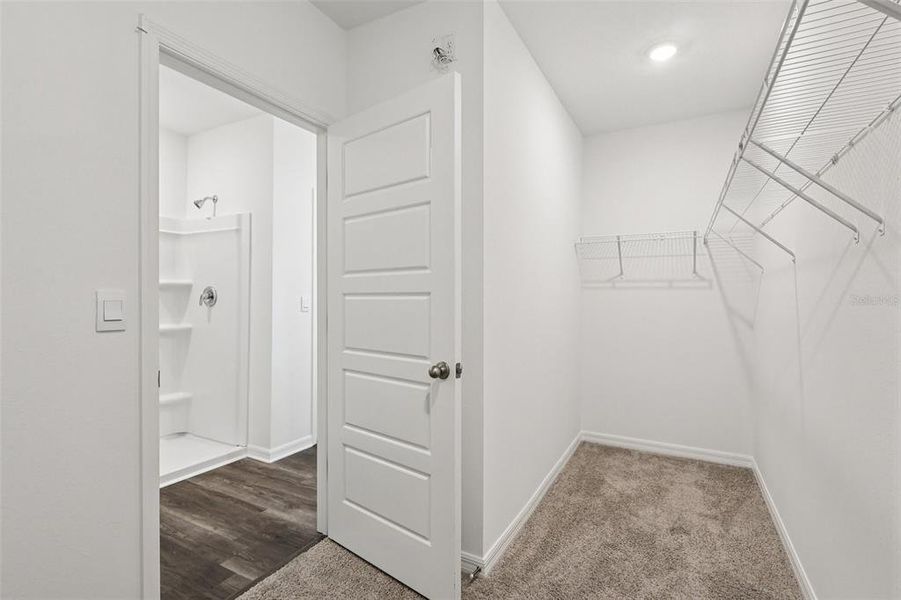 Spacious, unfurnished interior of a new home in Hamilton Bluff, Haines City (Image 25).