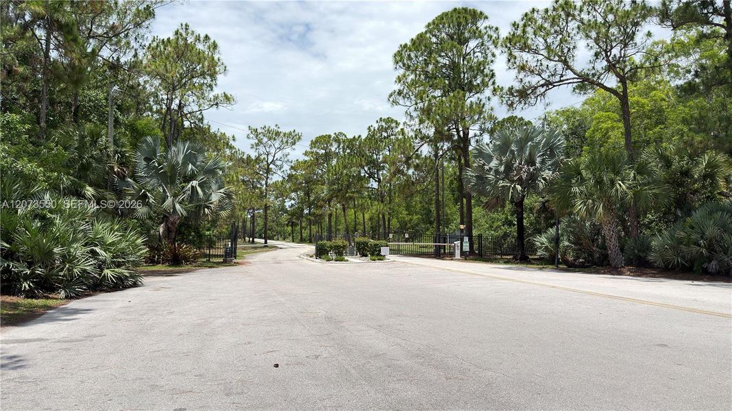 Natural landscape and outdoor views near  in Loxahatchee (Image 91).