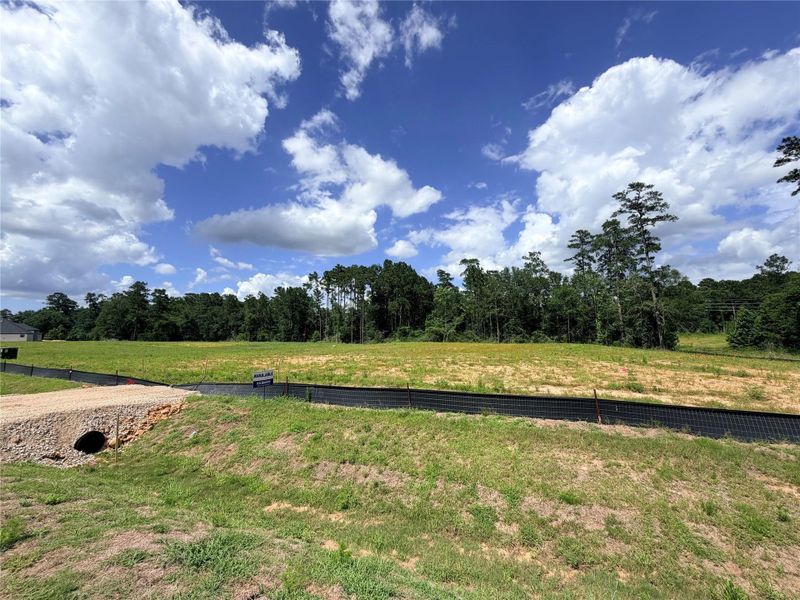 Natural landscape and outdoor views near Butlers Bend Estates in Pinehurst (Image 20).