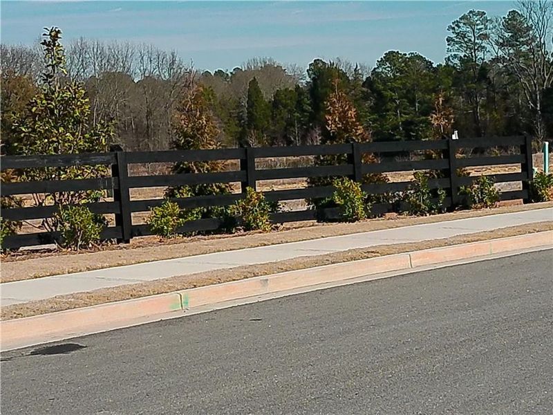 Natural landscape and outdoor views near Lake Shore in Winder (Image 25).