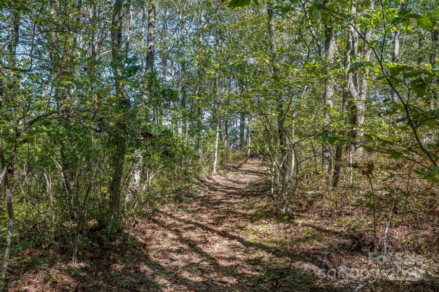 Natural landscape and outdoor views near in Lake Toxaway (Image 24). Natural landscape and outdoor views near in Lake Toxaway (Image 24).