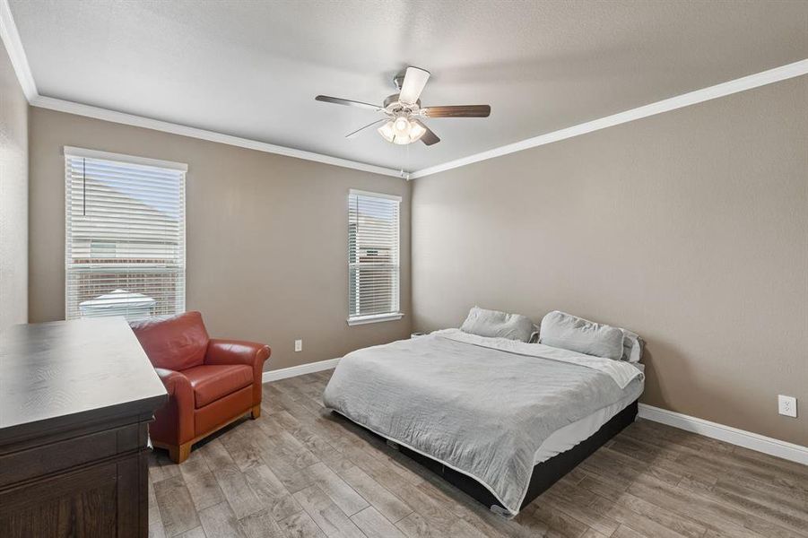 Spacious room featuring wood-finish flooring, two windows with blinds, a ceiling fan with integrated lighting, and crown molding