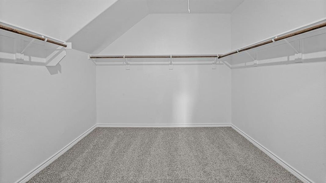 Walk in closet with carpet