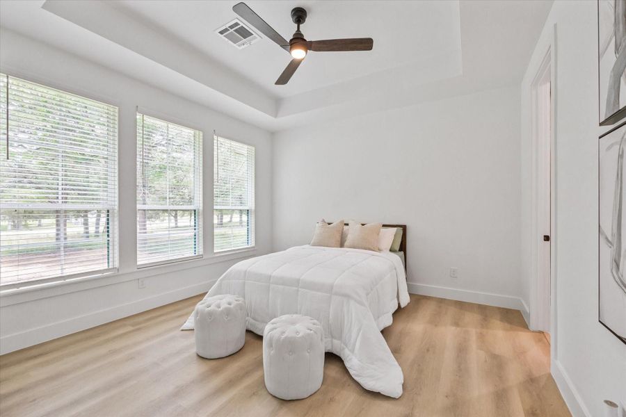 Downstairs Guest Bedroom. Downstairs Guest Bedroom.