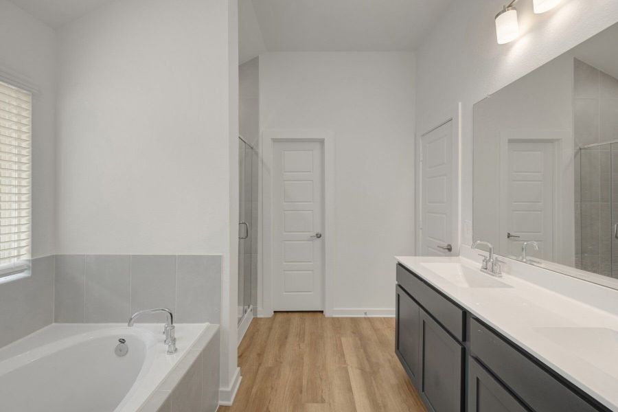 Owner's Bathroom