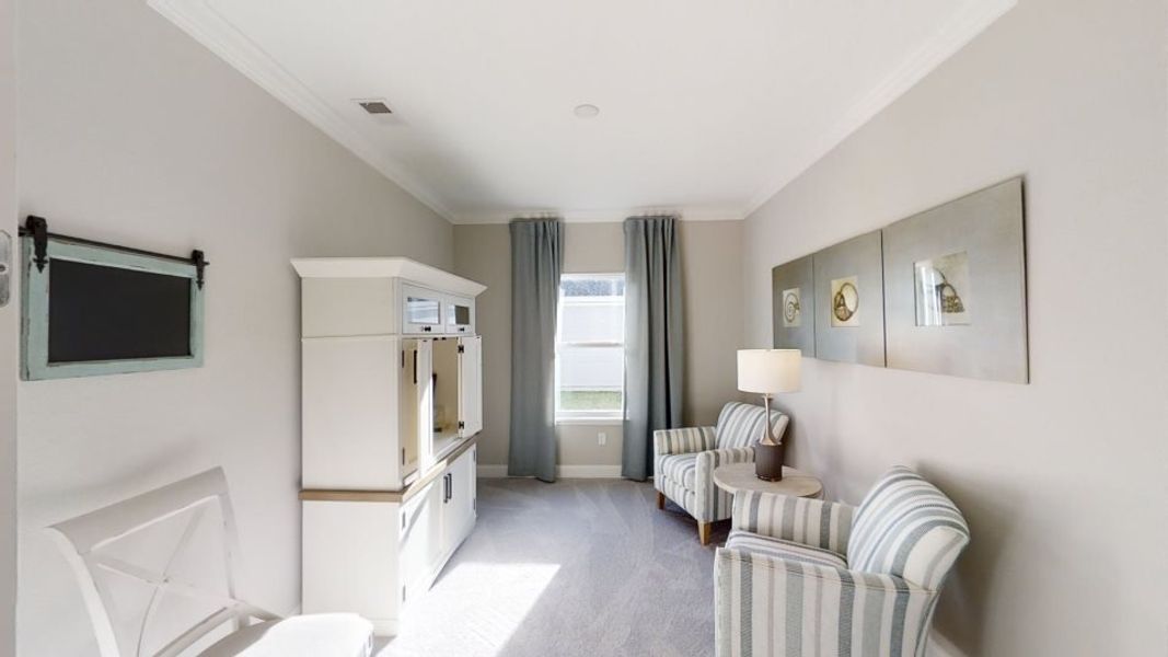 Trevi plan study Trevi plan study