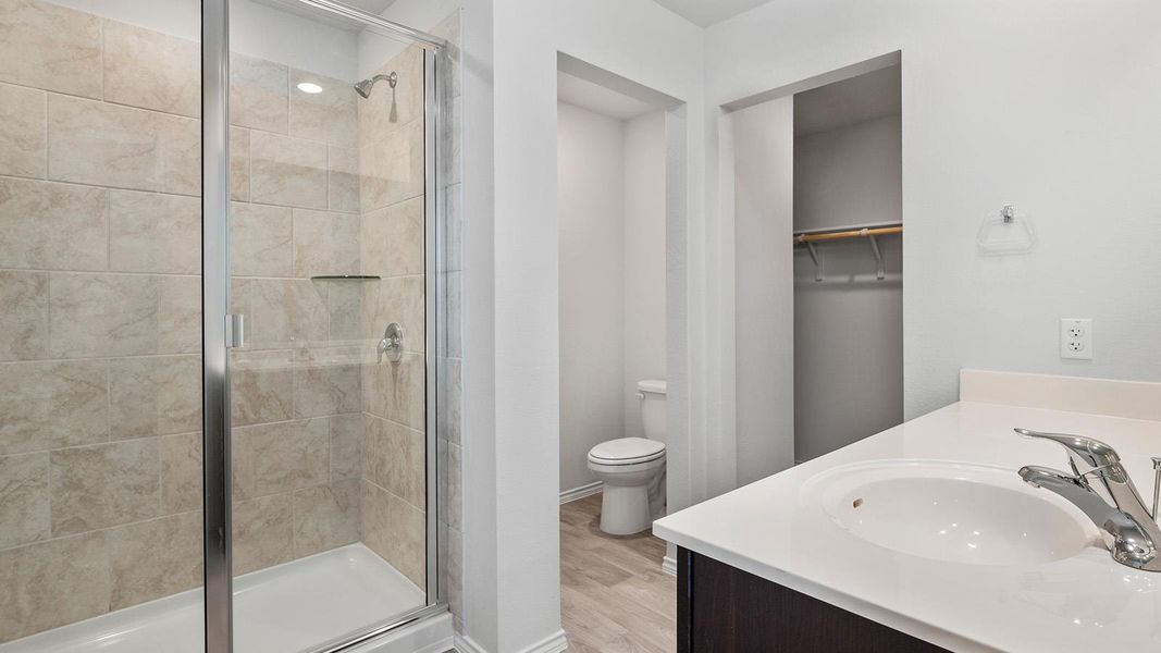Bathroom with vanity, a shower stall, light wood-style floors, and a walk in closet