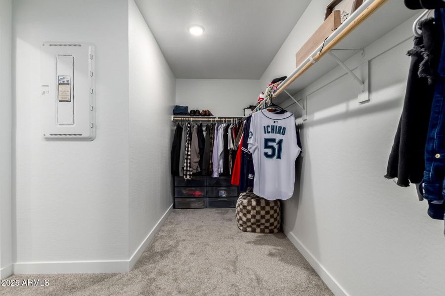 19 - Seldon 19 - Seldon