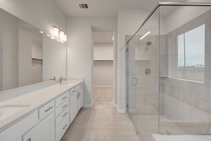 Owner's Bath