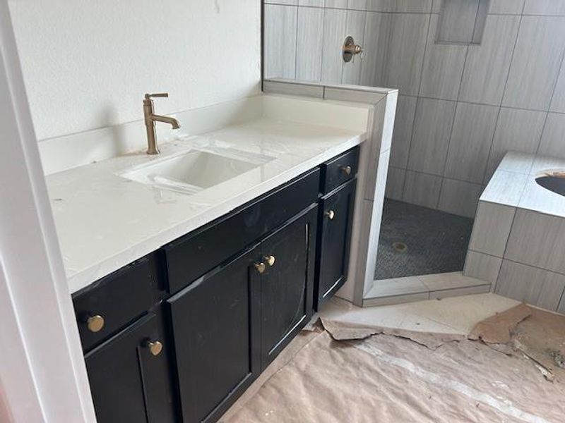 Black cabinets highlight the primary bathroom.