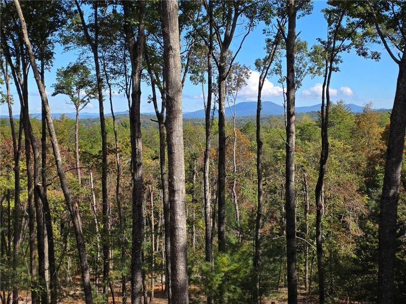 Natural landscape and outdoor views near  in Blue Ridge (Image 58).