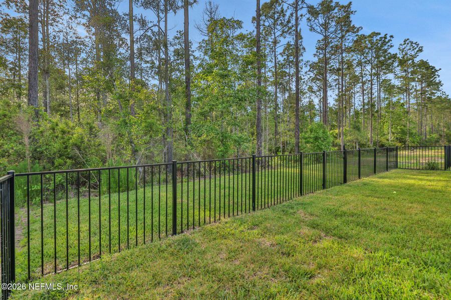 Natural landscape and outdoor views near Settler's Landing at Nocatee in Ponte Vedra (Image 97).