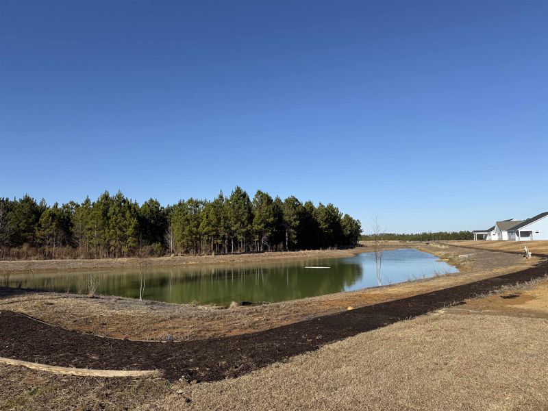 Site preparation for new homesites in Westwood Reserve, Conway (Image 30).
