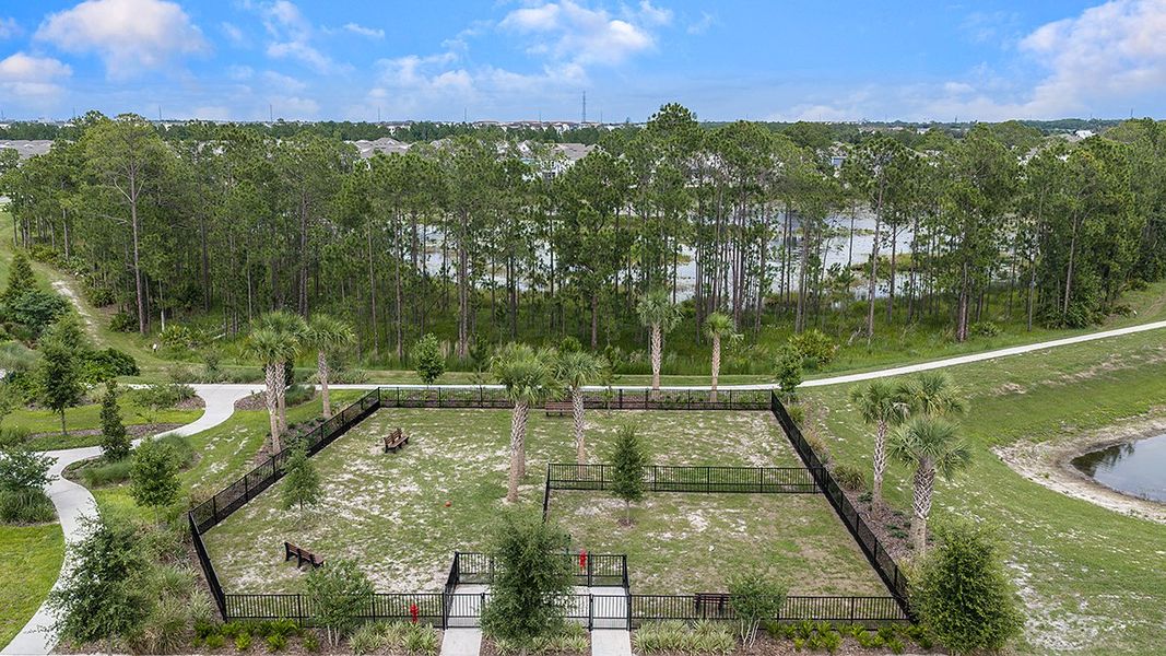Natural landscape and outdoor views near Harvest at Ovation in Winter Garden (Image 59). Natural landscape and outdoor views near Harvest at Ovation in Winter Garden (Image 59).