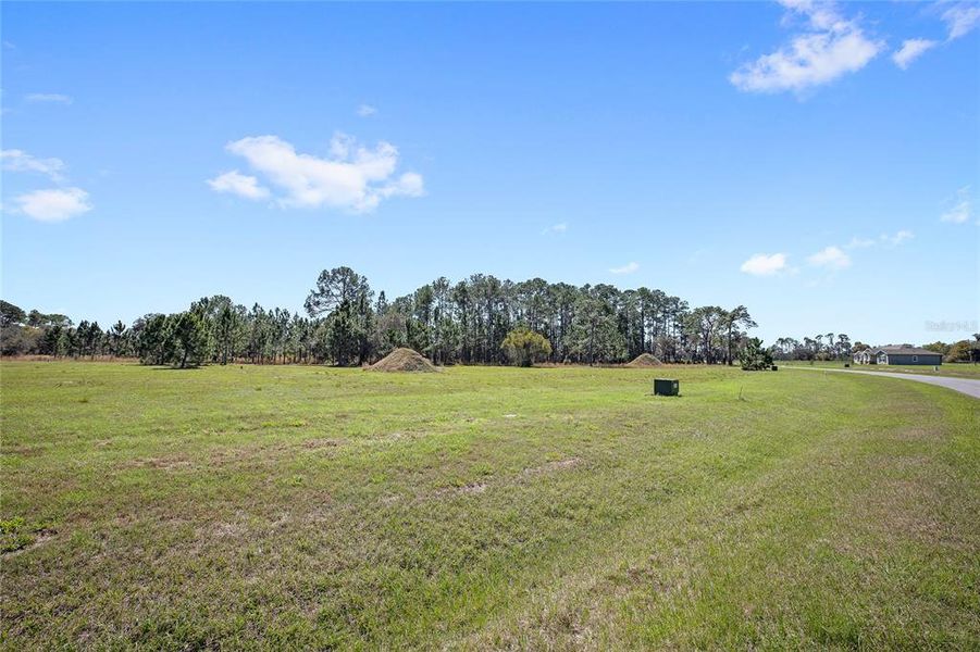 Natural landscape and outdoor views near in Umatilla (Image 4). Natural landscape and outdoor views near in Umatilla (Image 4).