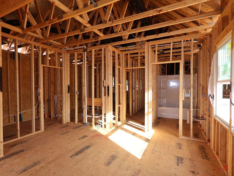Framing Framing