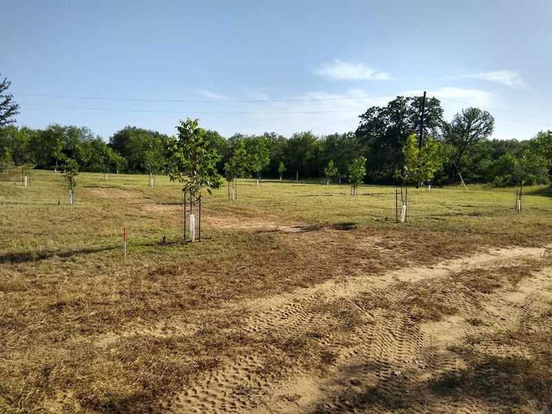 Image 39 of a home in .