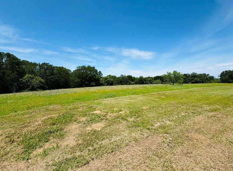 Natural landscape and outdoor views near  in Lexington (Image 36).